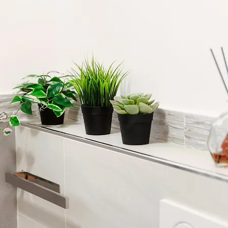 Cream - The House Of Travelers * Como